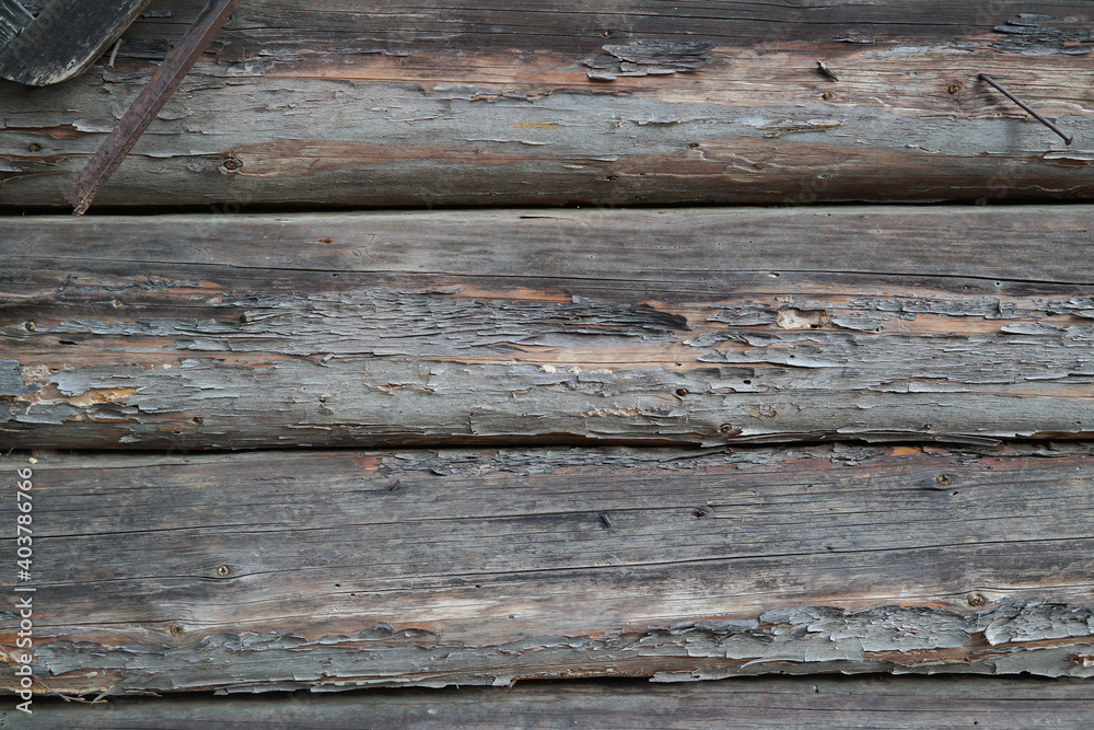Obraz premium old wood texture