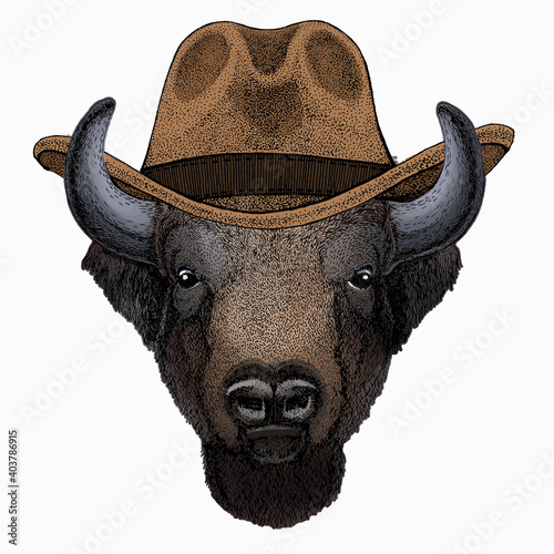 Vector bison head. Portrait of bull, buffalo.