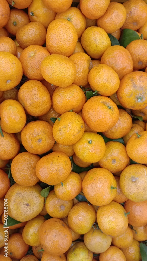close up of oranges