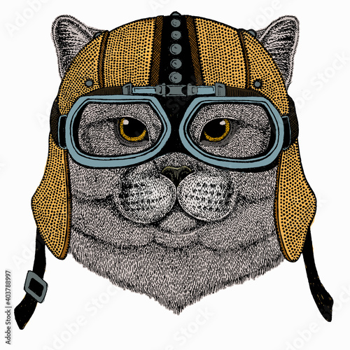 British shorthair cat animal cute face. Vector happy silver British kitten head portrait.