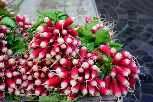 Fresh pink and white radishes at the farmers market