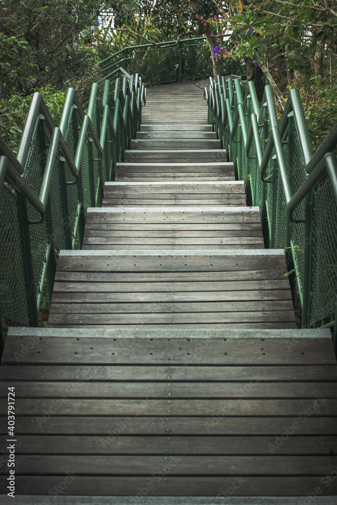wooden bridge in the park wooden bridge in the park