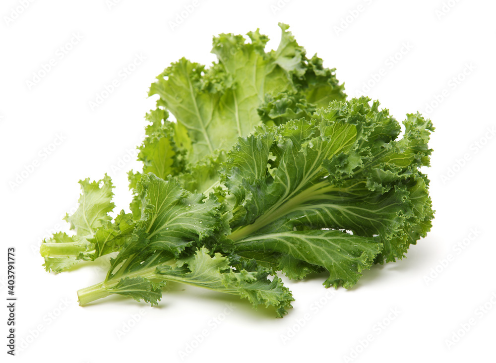 kale leafy vegetable closeup on white background kale leafy vegetable closeup on white background