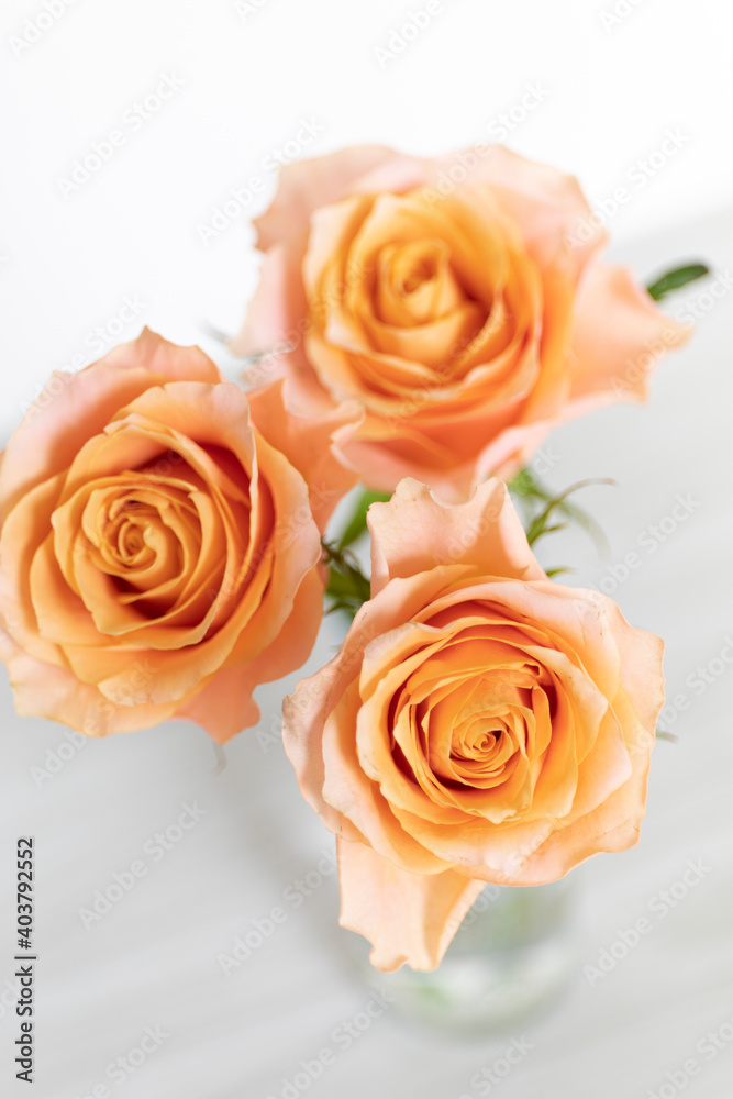 ３本の薔薇の花