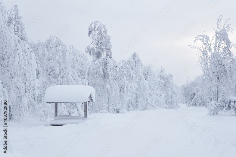 wooden gazebo with picnic table in a snowdrift after a heavy snowfall in a frosty winter park