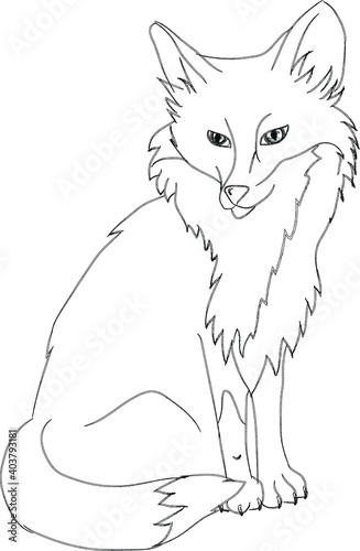 Vector illustration for coloring book sly fox.