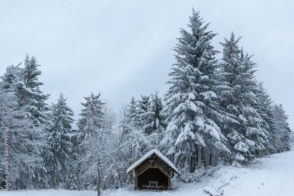 Naklejka premium Winterlandschaft des Schwarzwaldes mit Wald, kleiner Hütte und Schnee