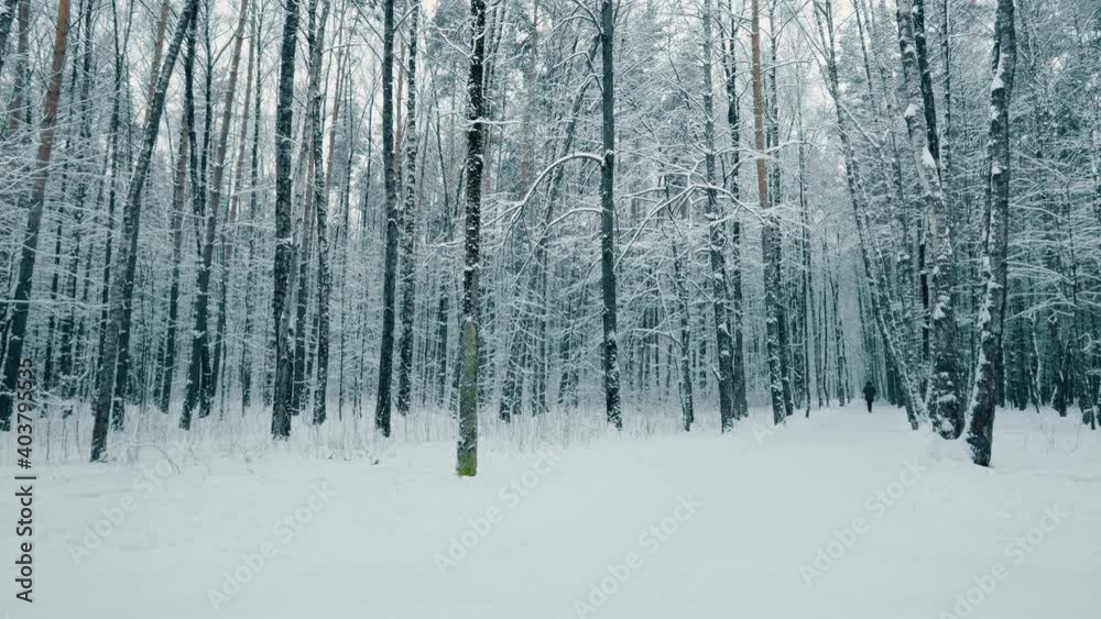 People walking and skiing in snowy park, time lapse People walking and skiing in snowy park, time lapse
