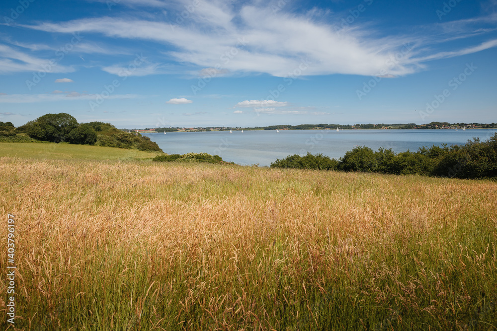 Green meadow next to a lake with blue sky and sailboats