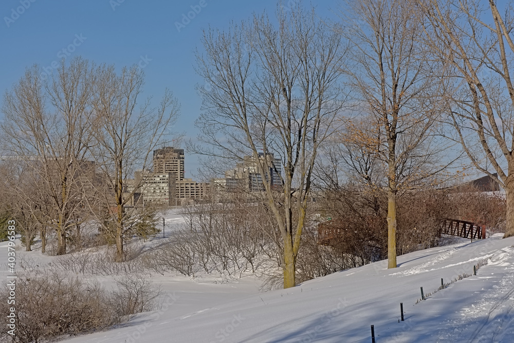 Snow covered city park with bare trees and apartment and office towers behind in Ottawa.