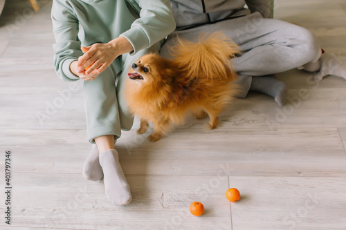 Young couple sitting on the floor with a spitz dog