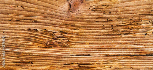 Old brown vintage rustic light dark wooden maple texture. 