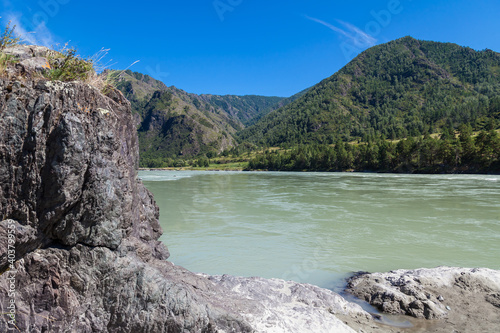 Fototapeta Naklejka Na Ścianę i Meble -  The bank of the Katun river with water containing turquoise clay and a sandy beach, rocky coast against the backdrop of mountains covered with green forest and blue sky with white clouds.