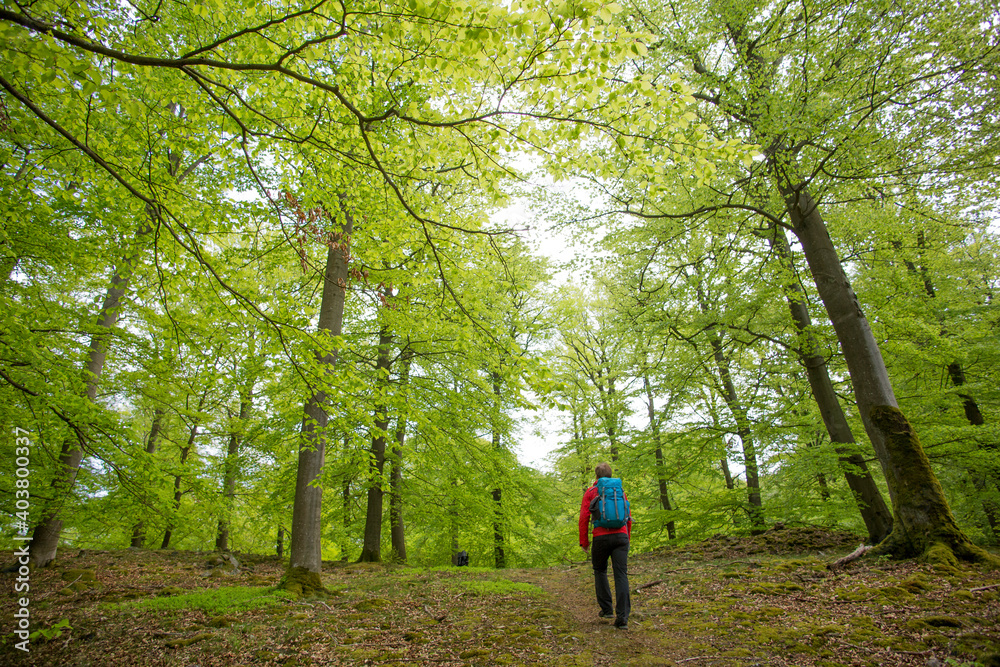 Wanderer im Nationalpark Kellerwald-Edersee Wanderer im Nationalpark Kellerwald-Edersee