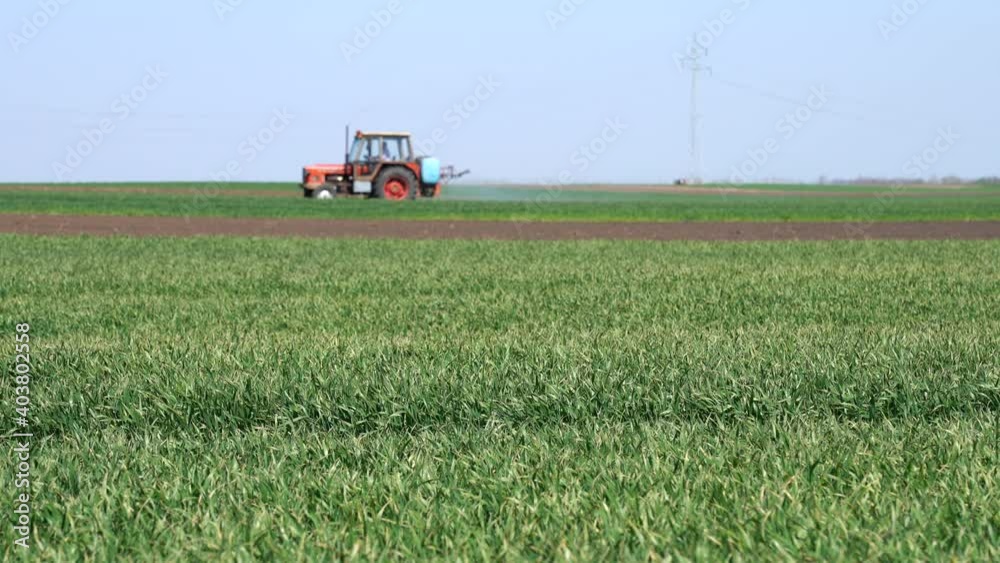 Waving Green Wheat Filed with Tractor Sprayer - Tractor Spraying Pesticide In A Field Of Wheat