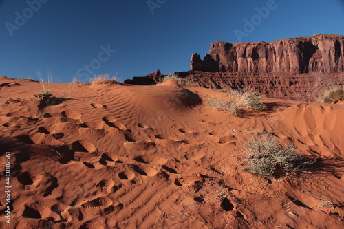 Red desert sand with human and animal footprints and scarce bushes near Monument Valley, Utah