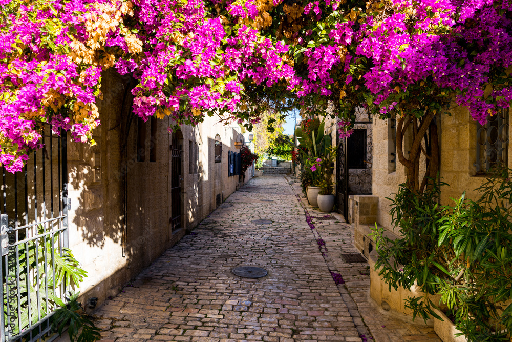 beautiful flowers in the alley beautiful flowers in the alley