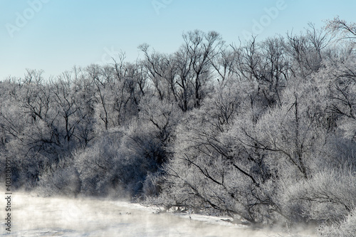 北海道冬の風景 阿寒郡鶴居村の樹氷と気嵐