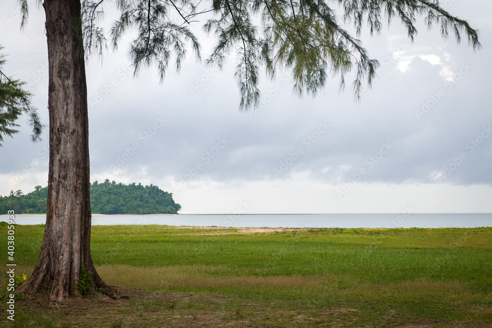 Beaches on a turtle farm. Phuket. Thailand Beaches on a turtle farm. Phuket. Thailand