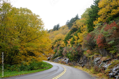 road in autumn