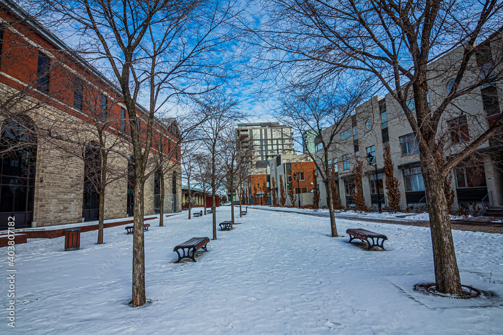 winter in the city winter in the city