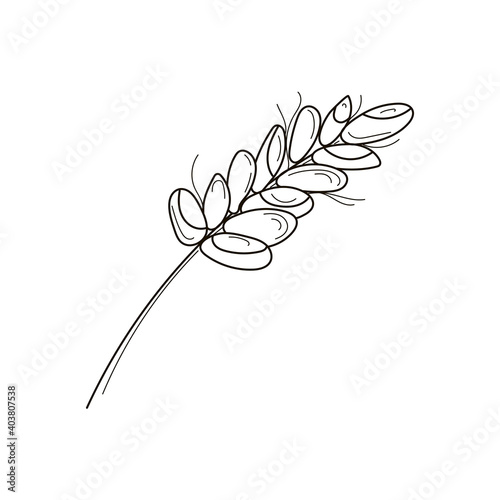 Cute doodle spikelet. Outline vector stock illustration isolated on white background. Hand draw style item for your design of prints, label, logo, shop, bakery ets.
