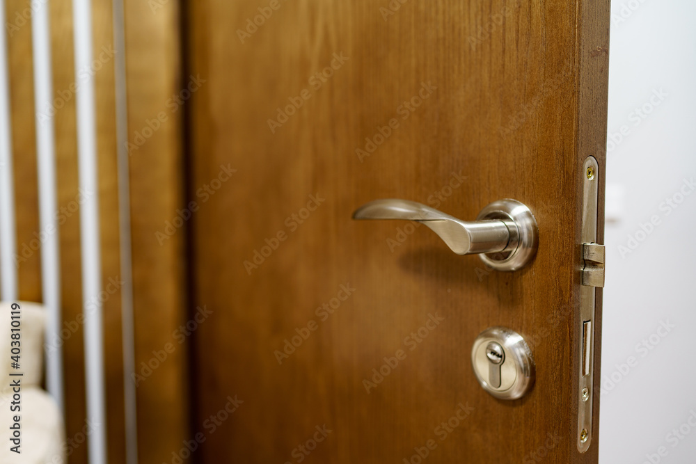 Obraz premium Wooden door with metal door handle and lock