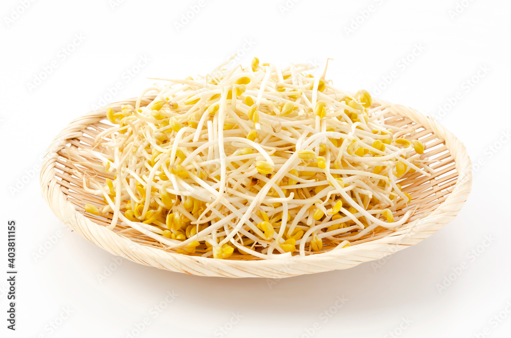 豆モヤシ 豆モヤシ