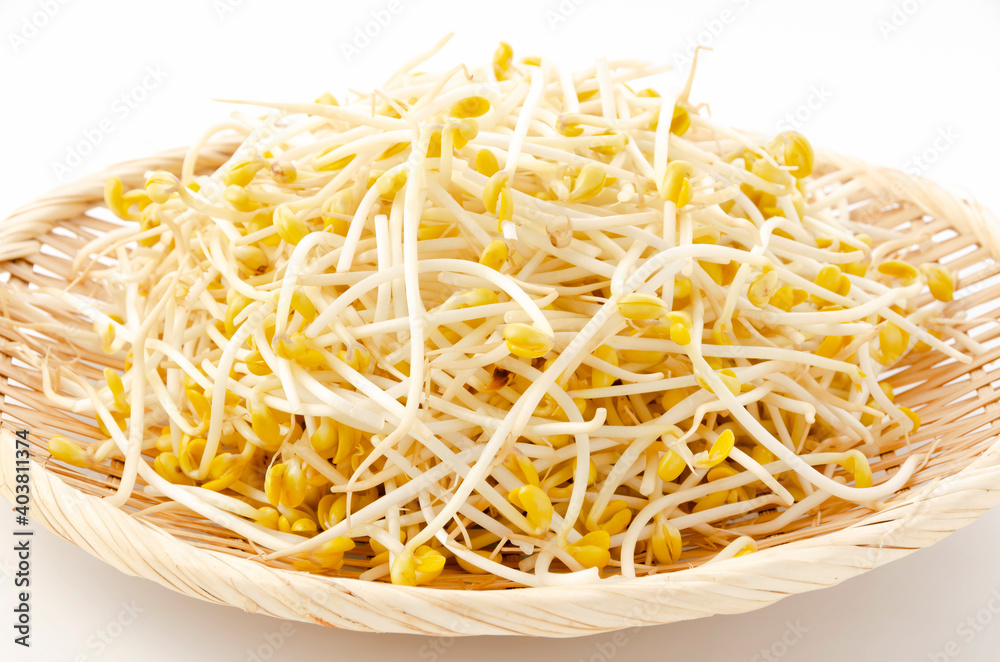 豆モヤシ 豆モヤシ
