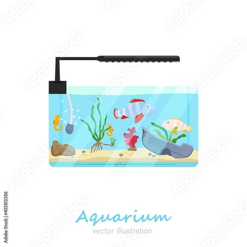 Vector aquarium image