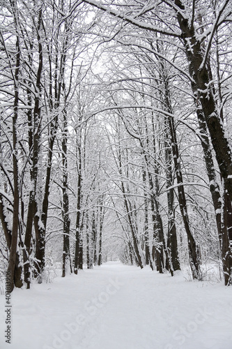 a road going into the distance in a park covered with snow. winter snow path