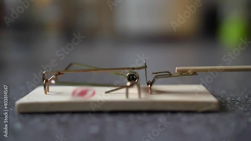 Triggering Spring Bar Mousetrap Slow Motion