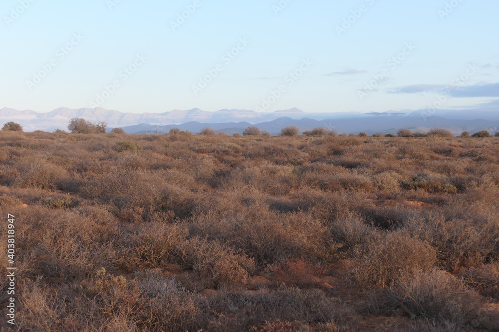 Kleine Karoo, eine Halbwüstenlandschaft in Südafrika Kleine Karoo, eine Halbwüstenlandschaft in Südafrika
