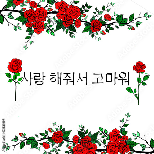 Thank you for love me,hand writing with brush stroke in alphabet of Korean and beautiful rose bouquet flower on white background.Greetings in korean letters.Creative with illustration progress.