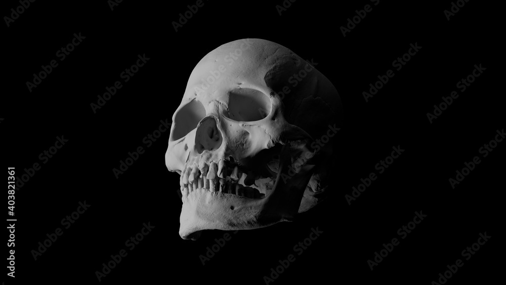 3d render of isolated skull model. High detailed. Black background.