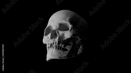 3d render of isolated skull model. High detailed. Black background.