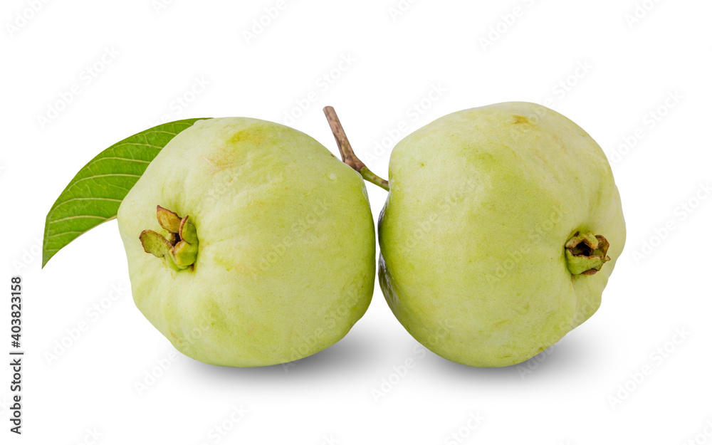 Guava fruit with leaves isolated Guava fruit with leaves isolated