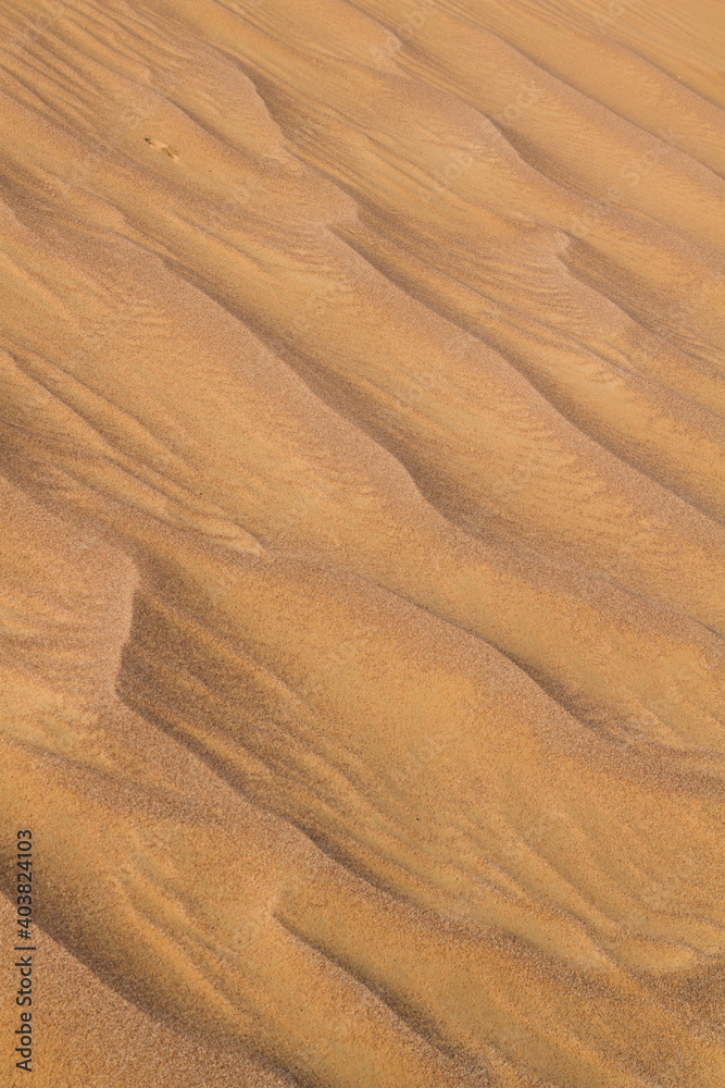 Fototapeta premium Landscape of central desert of Oman