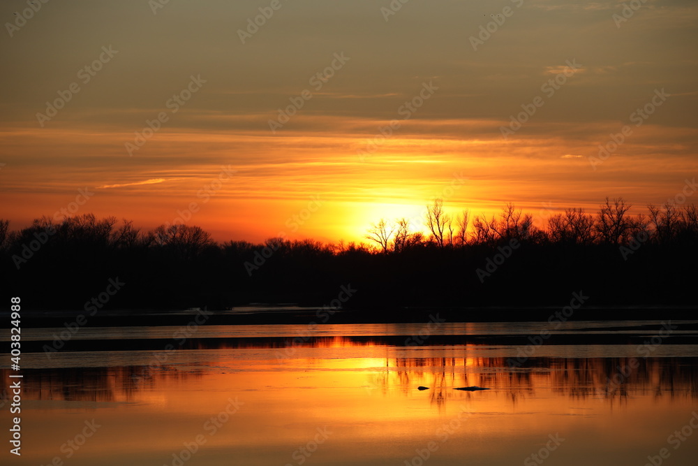Dark silhouette of trees growing on the river bank in the rays of the evening sunset. Reflection in water. Calm mood to simulate the beauty of nature. A beautiful landscape conducive to reflection