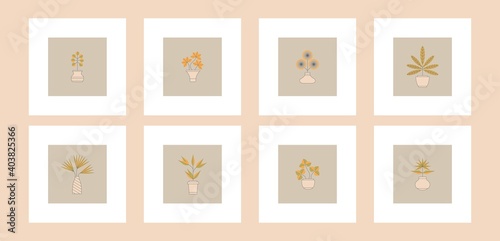 Abstract Domestic Plants. Flower pots. Minimalistic elegant Icons. Colored Vector illustration. Flower shop concept. Simple geometric design. Set of eight Poster or Card templates