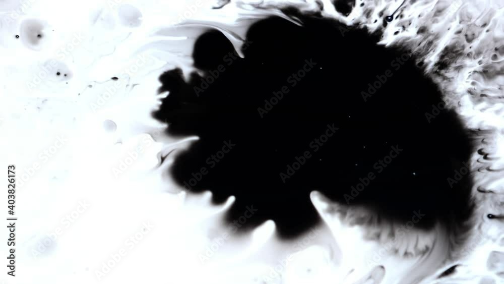 micro shot of rorschach ink blot