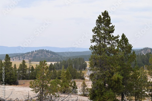 Yellowstone National Park Scene View