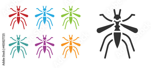 Black Mosquito icon isolated on white background. Set icons colorful. Vector.