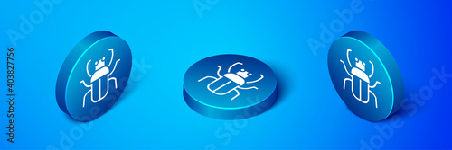 Isometric Stink bug icon isolated on blue background. Blue circle button. Vector.