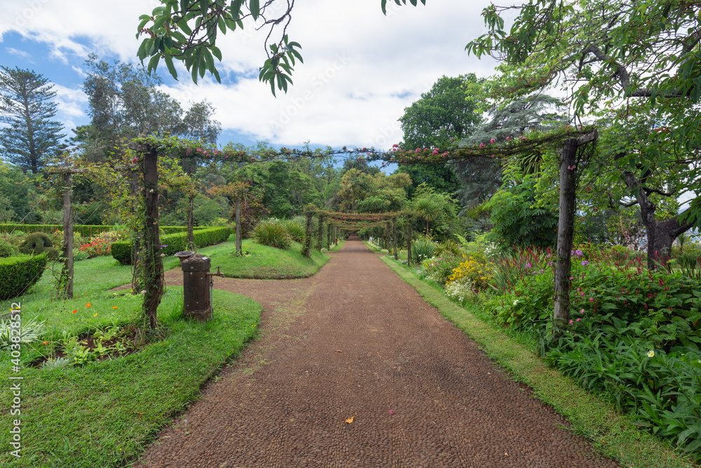 Footpath in Palheiro gardens at Madeira Island