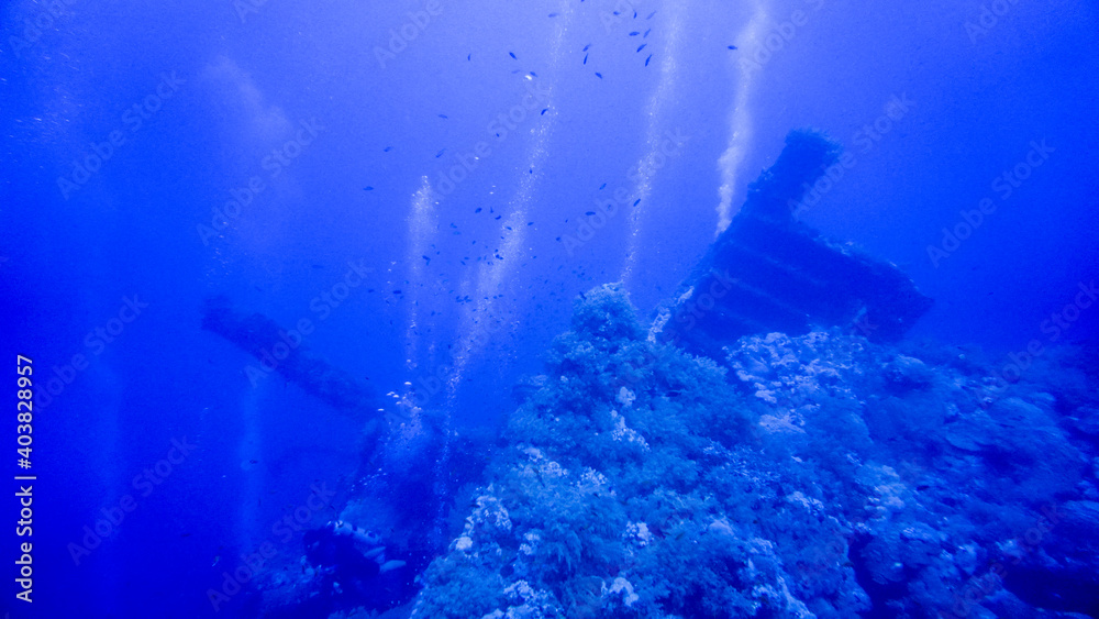 research by divers of a sunken ship on a coral reef in the Red Sea
