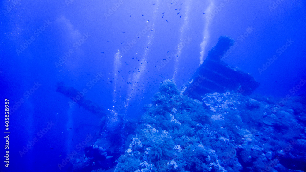research by divers of a sunken ship on a coral reef in the Red Sea research by divers of a sunken ship on a coral reef in the Red Sea