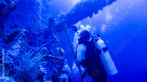 research by divers of a sunken ship on a coral reef in the Red Sea