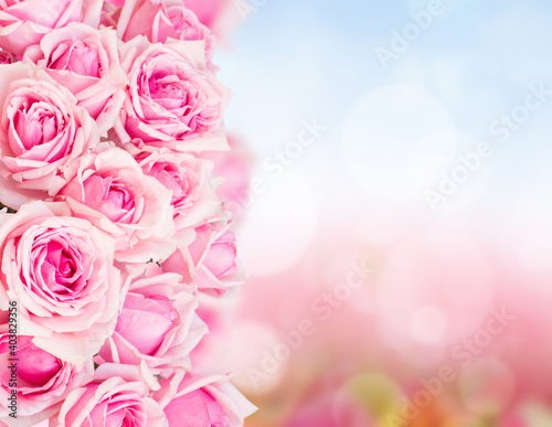 Fototapeta Naklejka Na Ścianę i Meble -  border of pink garden roses