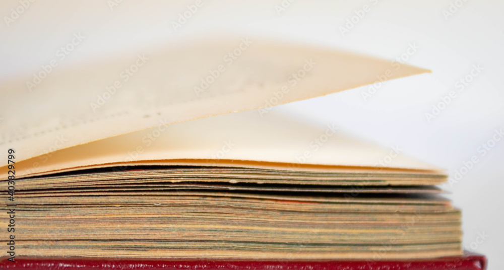 An old open book with, on the right side, one page with a sharp edge; red leather cover An old open book with, on the right side, one page with a sharp edge; red leather cover